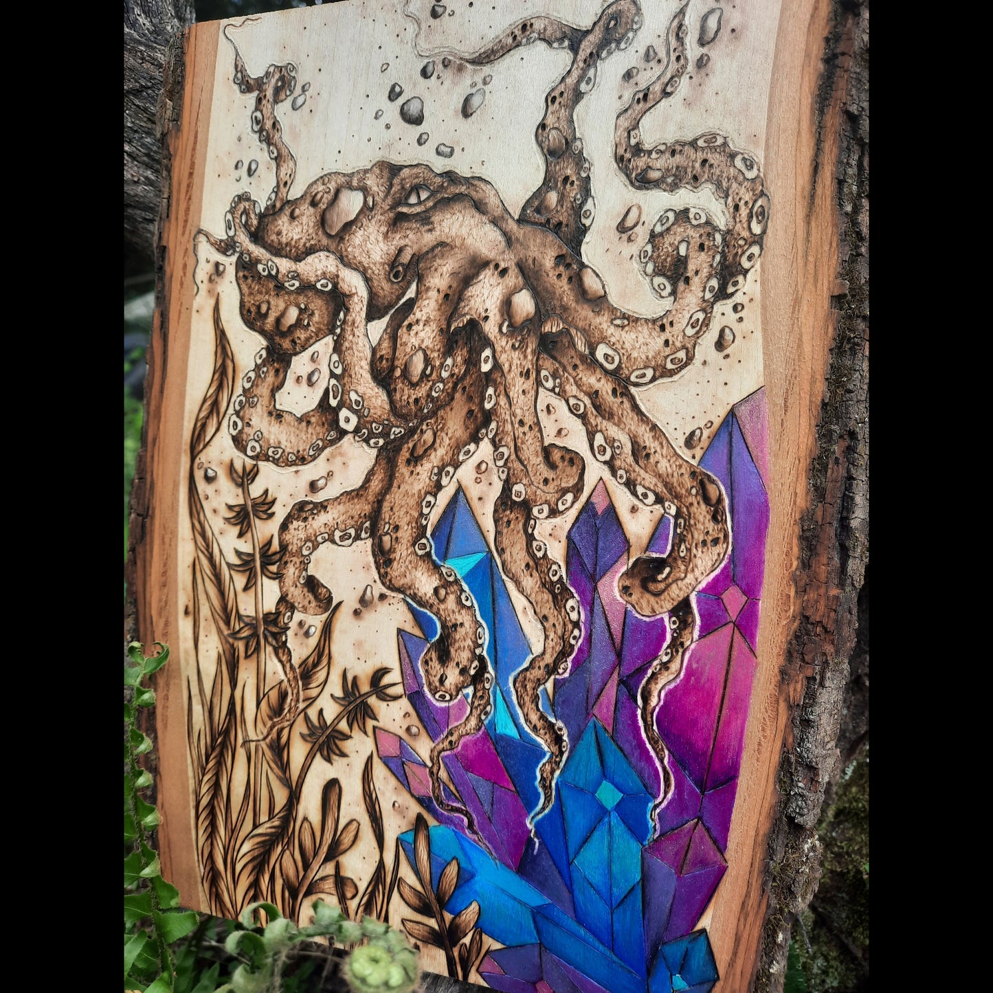 Depths of the Kraken