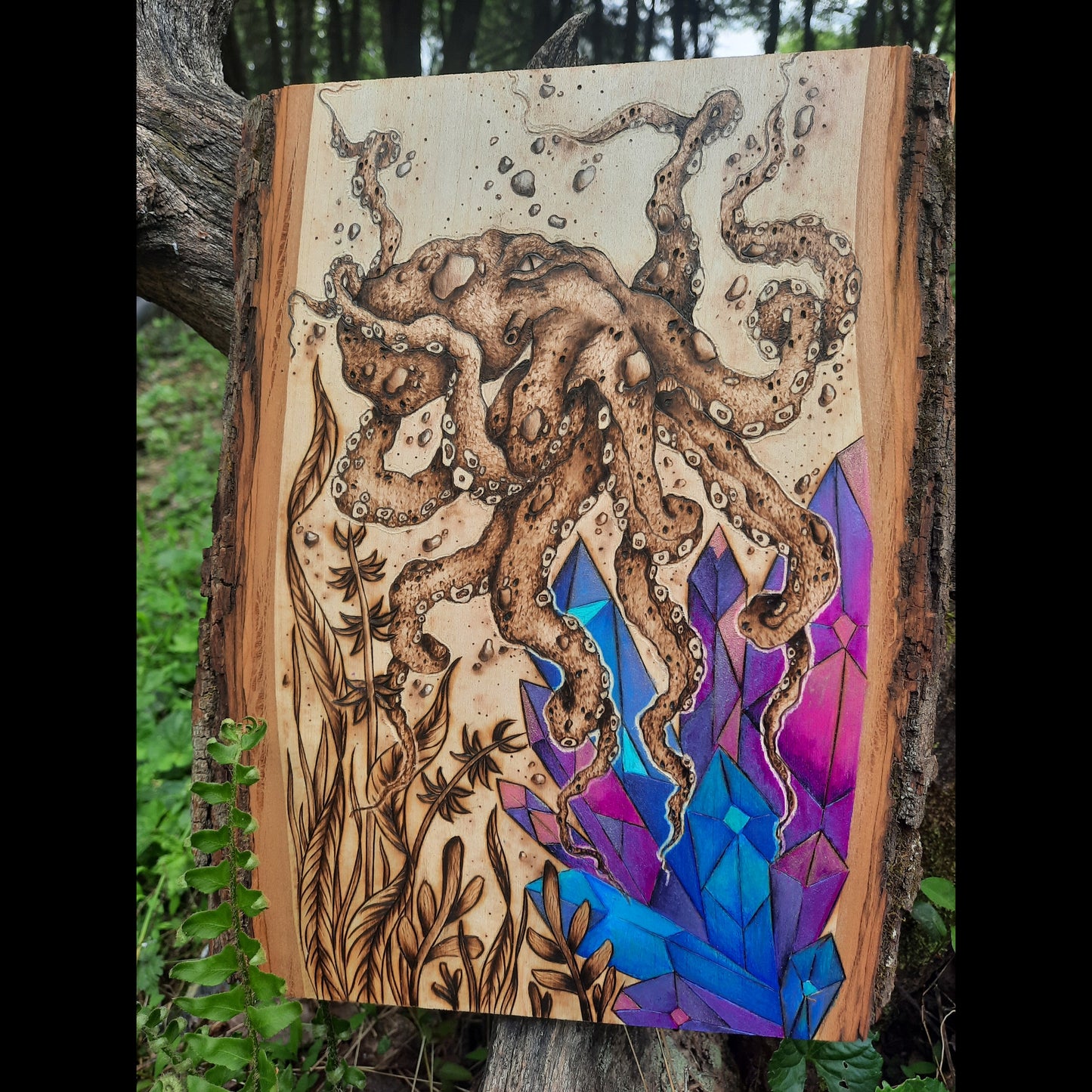 Depths of the Kraken