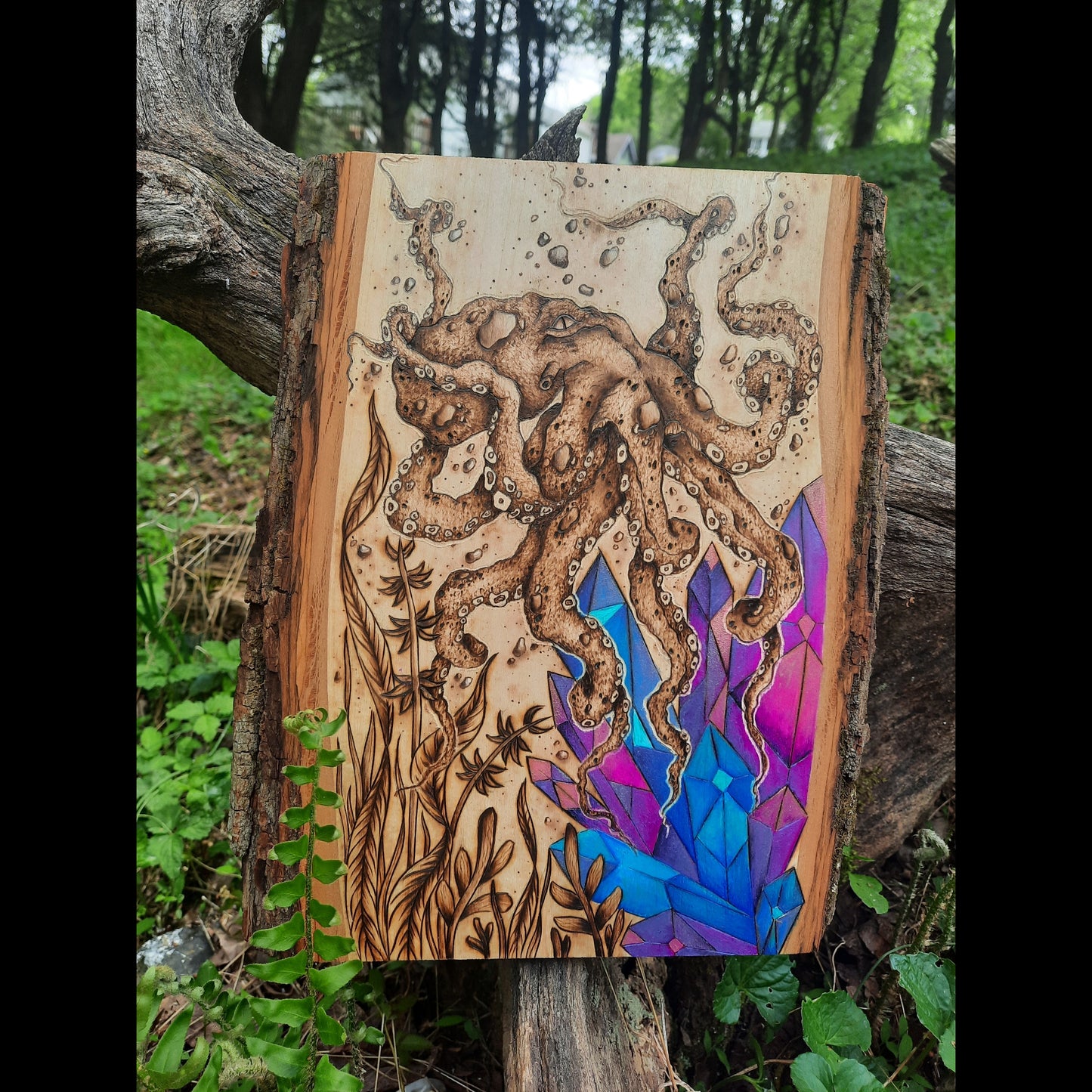 Depths of the Kraken