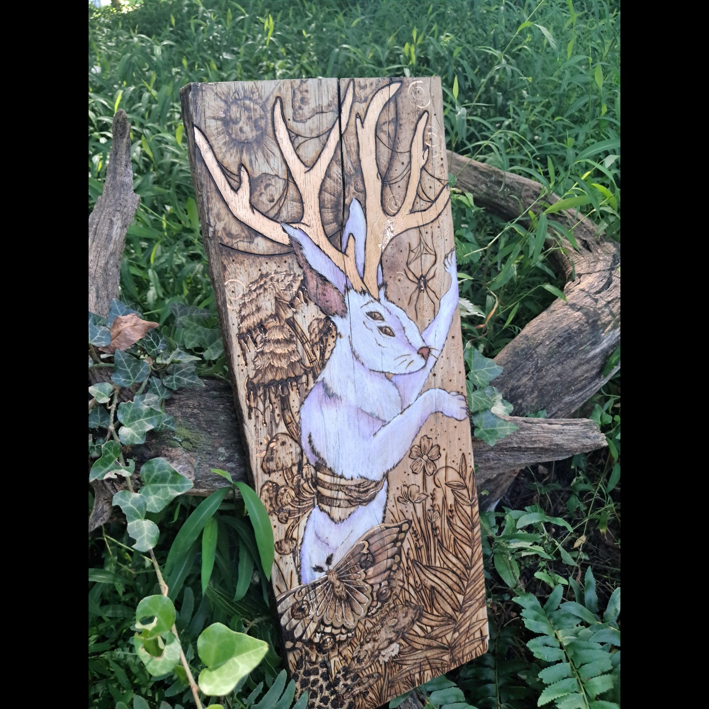Jackalope luminous decay