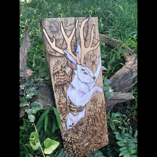 Jackalope luminous decay
